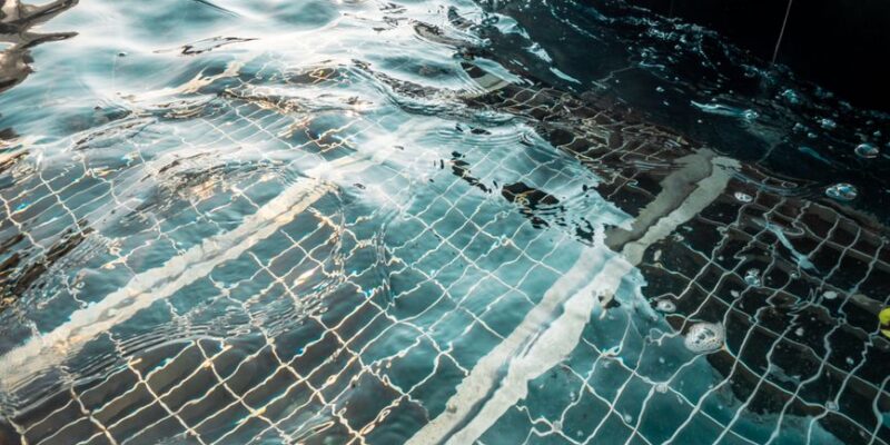 Hire a Pool Tile Cleaning Professional in Phoenix, Arizona